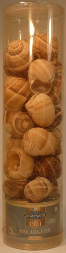 Escargots & Shells