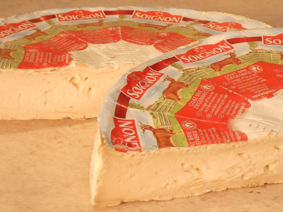 Goat Brie