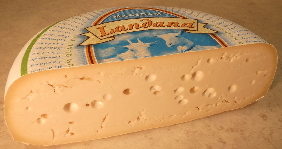 Goat Maasdam Products Gouda Cheese Shop