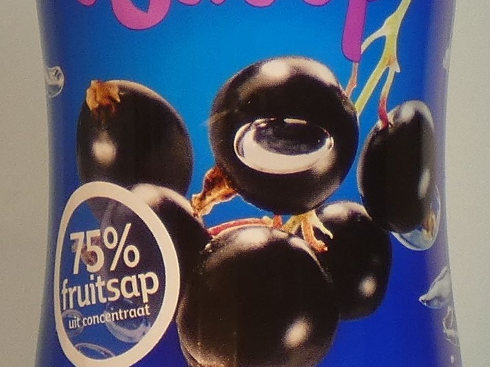 Fruit Syrup - Blackcurrant - Jumbo