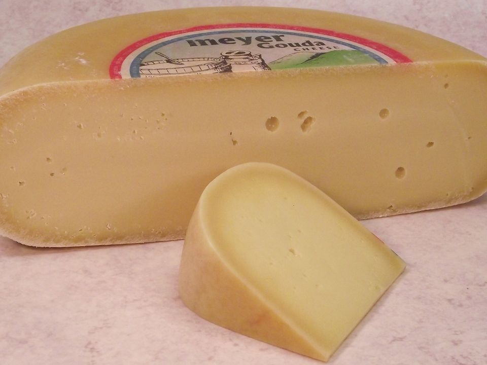 Gouda Tasty